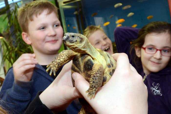 Ilustračný obrázok k článku Košická zoo so špeciálnym projektom: Takto chcú priblížiť ríšu zvierat nevidiacim