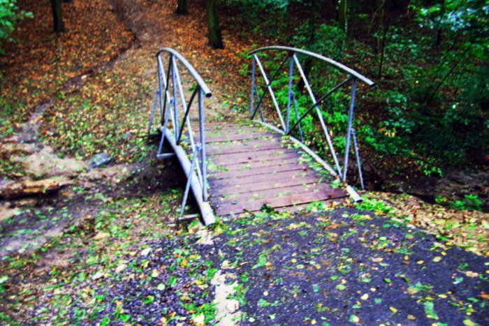 Ilustračný obrázok k článku Chodíte radi oddychovať do Horského parku? Mesto sa pustilo do revitalizácie tohto obľúbeného miesta