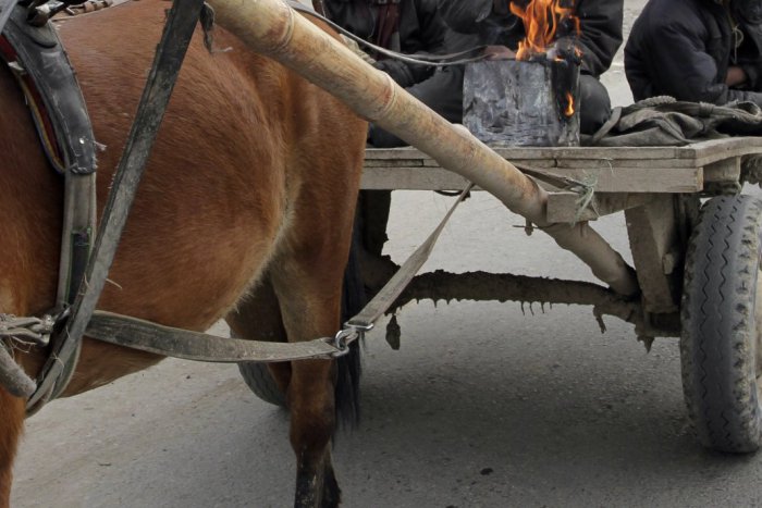 Ilustračný obrázok k článku Kuriózna nehoda pri Zámkoch: Auto narazilo do konského povozu, viezli sa na ňom aj deti