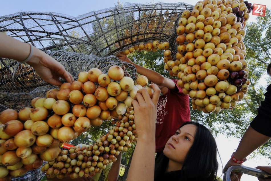 Ilustračný obrázok k článku Parádna akcia v regióne sa blíži: Toto sú lákadlá Cibuľových slávností