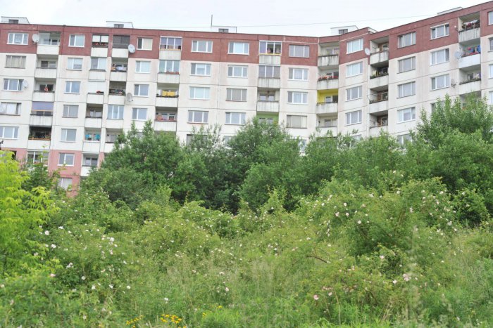 Ilustračný obrázok k článku Práce na Slnečných schodoch dostali stopku. Čo je vo veci? Toto prezradil Choma na tlačovke...