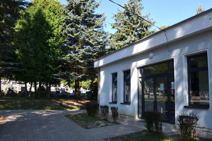 Ilustračný obrázok k článku Malý biely psík v kancelárii správcu cintorína: Čítačka čipov povedala, kto je majiteľka