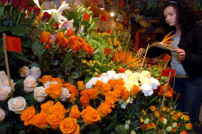 Ilustračný obrázok k článku Kvety na začiatok školského roka? Tradícia, ktorá postupne vymiera