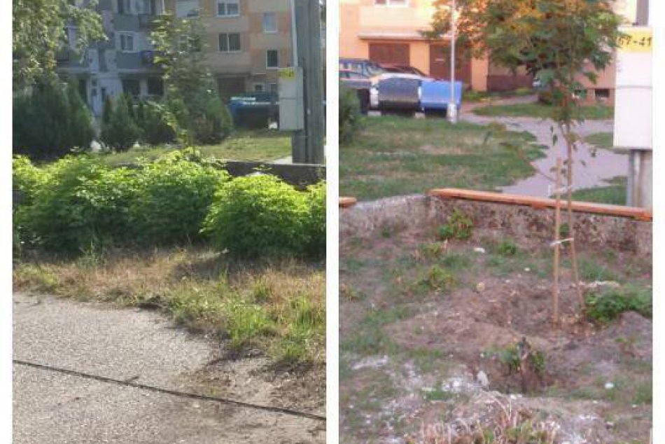 Ilustračný obrázok k článku Dobrovoľníci na Gogoľovej odviedli kus roboty: ZÁBERY pred a po ako dôkaz!