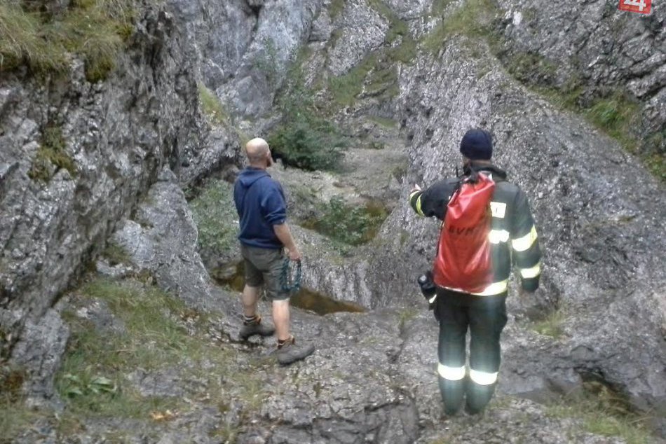 Ilustračný obrázok k článku Náročný zásah mikulášskych hasičov v mokrom, skalnatom teréne: Nevinné stvorenie vyniesli na vlastných rukách! FOTO