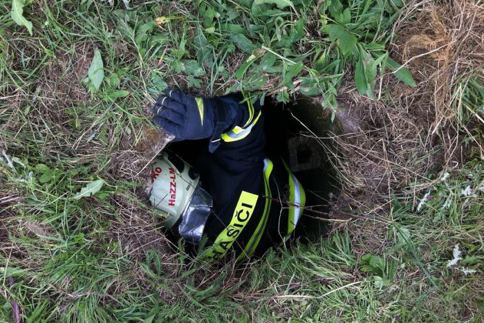 Ilustračný obrázok k článku FOTO zo zásahu: Mikulášski hasiči zachránili malého srnčeka, prepadol sa do šachty!