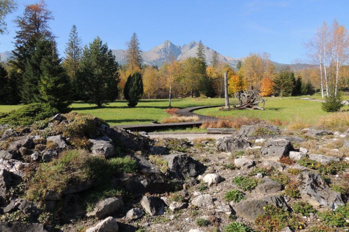 Ilustračný obrázok k článku Víkend otvorených parkov a záhrad: Užiť si ho môžete aj v botanickej záhrade v Tatranskej Lomnici