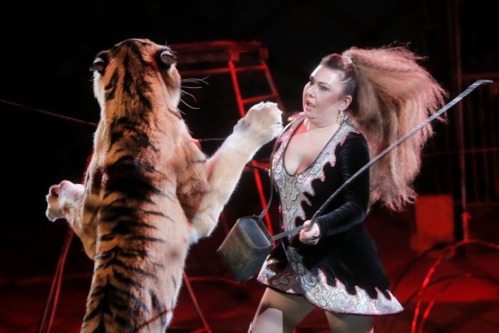 Ilustračný obrázok k článku Zákaz pútačov na cirkusy v Žiline? Do mesta prišiel známy cirkus a... TOTO nastalo