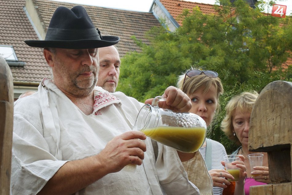 Ilustračný obrázok k článku OBRAZOM : Vinobranie v Pezinku