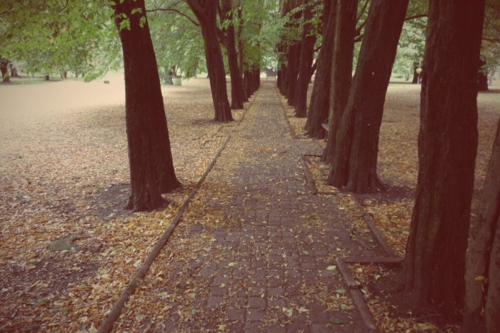 Ilustračný obrázok k článku Do humenského Parku mieru už zavítala jeseň v plnej kráse: FOTKY ako dôkaz