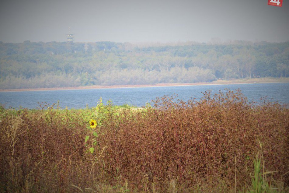 Ilustračný obrázok k článku Padne traťový rekord? Na Šírave sa uskutočnia bežecké preteky