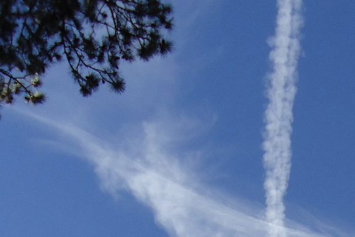 Ilustračný obrázok k článku Vybrala sa s bicyklom na Šibák, myslela si, že vidí dvojmo: Alenke sa podarilo zachytiť vydarený moment! FOTO