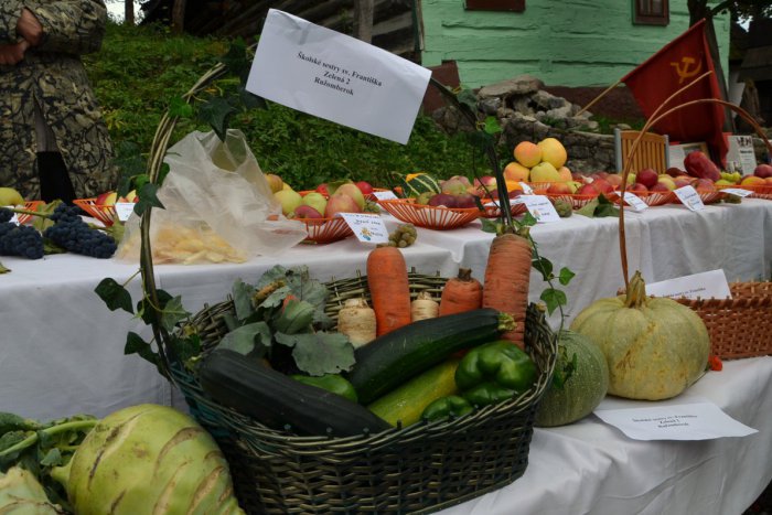 Ilustračný obrázok k článku Vďaka za úrodu vo Vlkolínci: Mrkvu si kúpite od Školských sestier sv. Františka