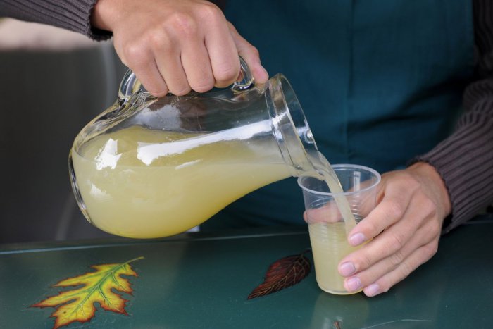 Ilustračný obrázok k článku Keď burčiak stúpne do hlavy: Príhody zo žiarskeho jarmoku, na ktoré by ich aktéri radšej zabudli :)