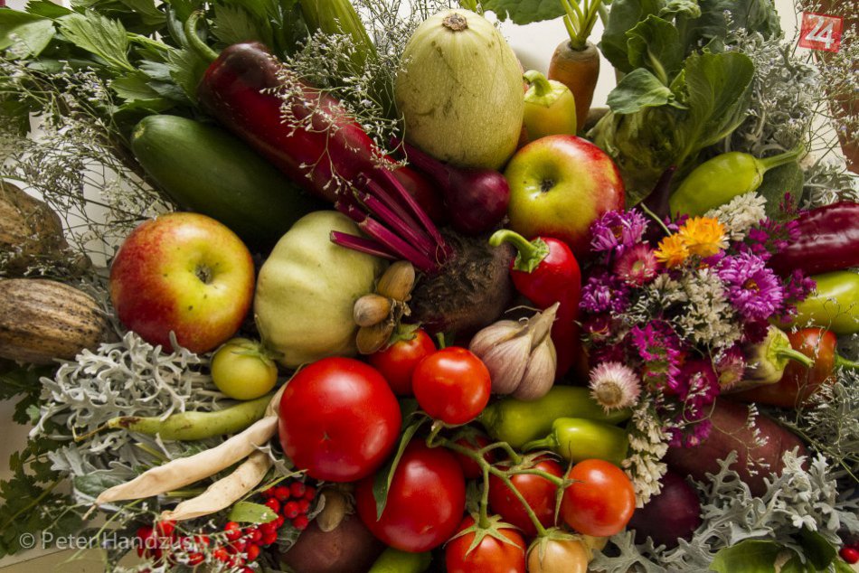 Ilustračný obrázok k článku Pod Tatrami sa už pestuje ovocie, o akom sa nám kedysi nesnívalo: Hrozno, marhule a aj figovníky!