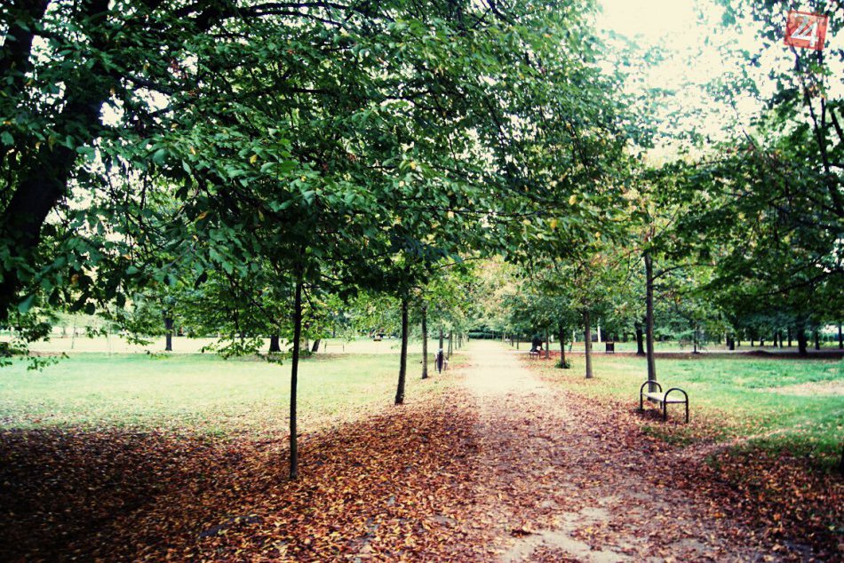 Ilustračný obrázok k článku Užite si voľné dni: Ponuka akcií na predsviatočný víkend v Žiari a okolí