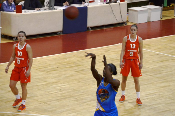 Ilustračný obrázok k článku Prvá vážna previerka a prvá prehra v Piešťanoch: Čajky zdolali Ružu