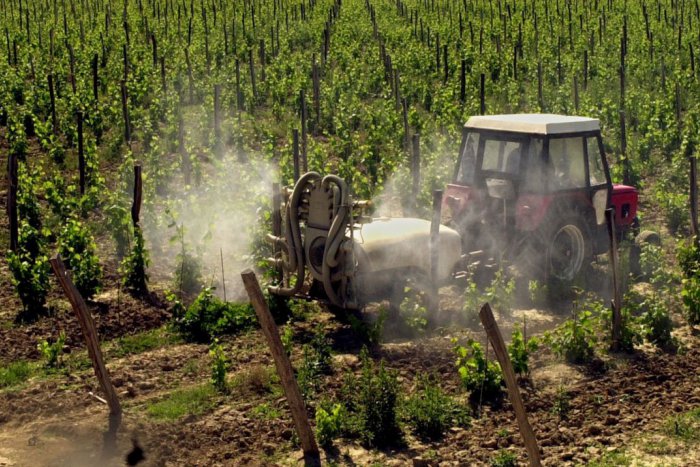 Ilustračný obrázok k článku V regióne bude viniča dostatok: Nová technológia vysádzania s pomocou GPS sa ujala