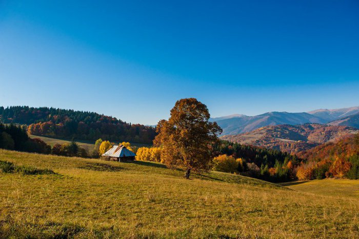 Ilustračný obrázok k článku Máme unikátne VIDEÁ, ktoré musí poznať svet: Pozretí majú dosť, ale toto by vraj ešte pomohlo, Horehronci poďme na to!