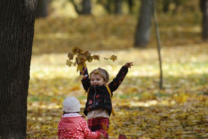 Ilustračný obrázok k článku Angličtina pre najmenších: Tak ako ju bežne nepoznáte