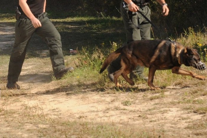 Ilustračný obrázok k článku Rušno pri východnej hranici: V rukách mužov zákona skončili dvaja Sýrčania