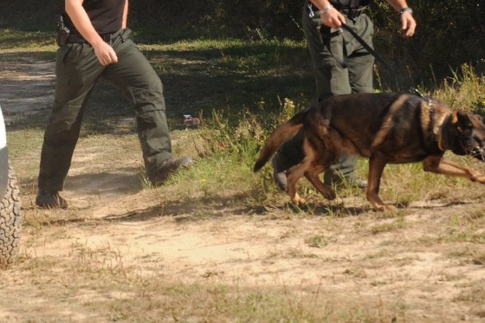 Ilustračný obrázok k článku Muži zákona zadržali 34 migrantov: Traja Slováci sú obvinení z prevádzačstva