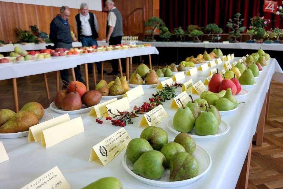 Ilustračný obrázok k článku Niečo pre vášnivých záhradkárov: V Topoľčiankach sa bude konať zaujímavá výstava