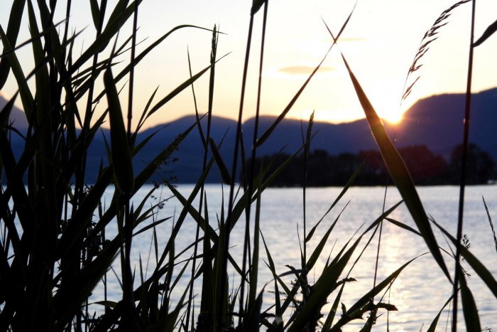 Ilustračný obrázok k článku Keď ich zbadáte, hneď viete, že ste doma: 10 vecí, bez ktorých by Mikuláš nebol Mikulášom