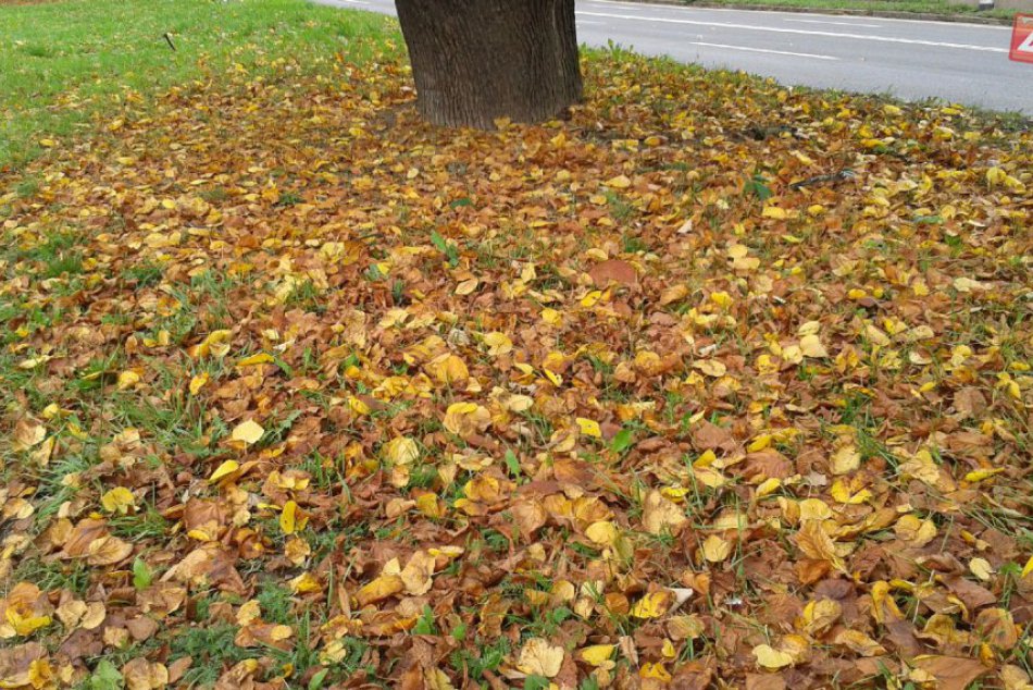 Ilustračný obrázok k článku TIPY na VÍKEND: Bazárik detského oblečenia, turistika, futbal, koncert a ďalšie