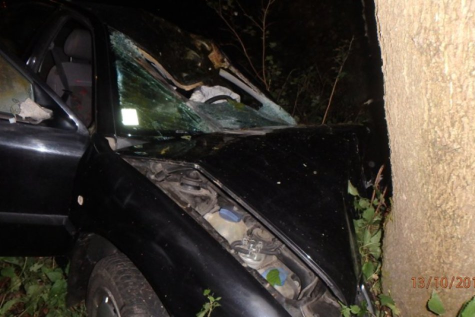 Ilustračný obrázok k článku Na ceste sa stala tragédia: Auto sa zrazilo so srnou a narazilo do stromu, vodič neprežil!