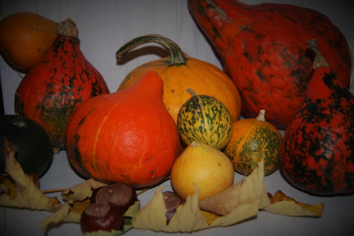 Ilustračný obrázok k článku Máte doma tekvicu a neviete čo s ňou? Danka prezradila recept na výborný koláč