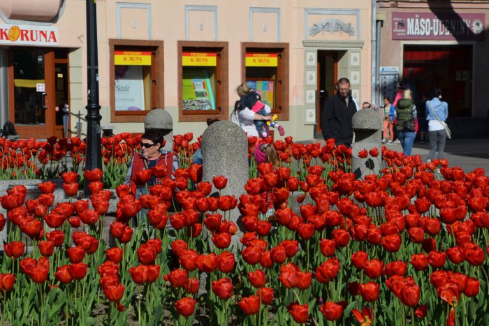 Ilustračný obrázok k článku Ružomberčanka (27) rátala s momentom prekvapenia: Sladkosti si vkladala rovno do ruksaka