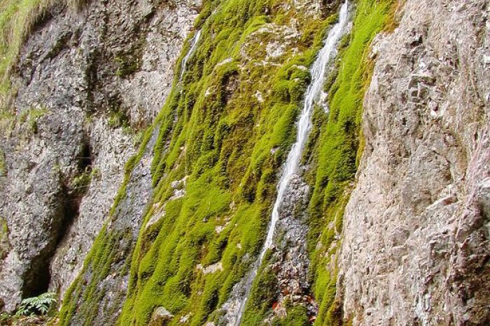 Ilustračný obrázok k článku Za tú námahu to stojí: (Ne)známe vodopády pri Žiline, ktoré sa oplatí navštíviť