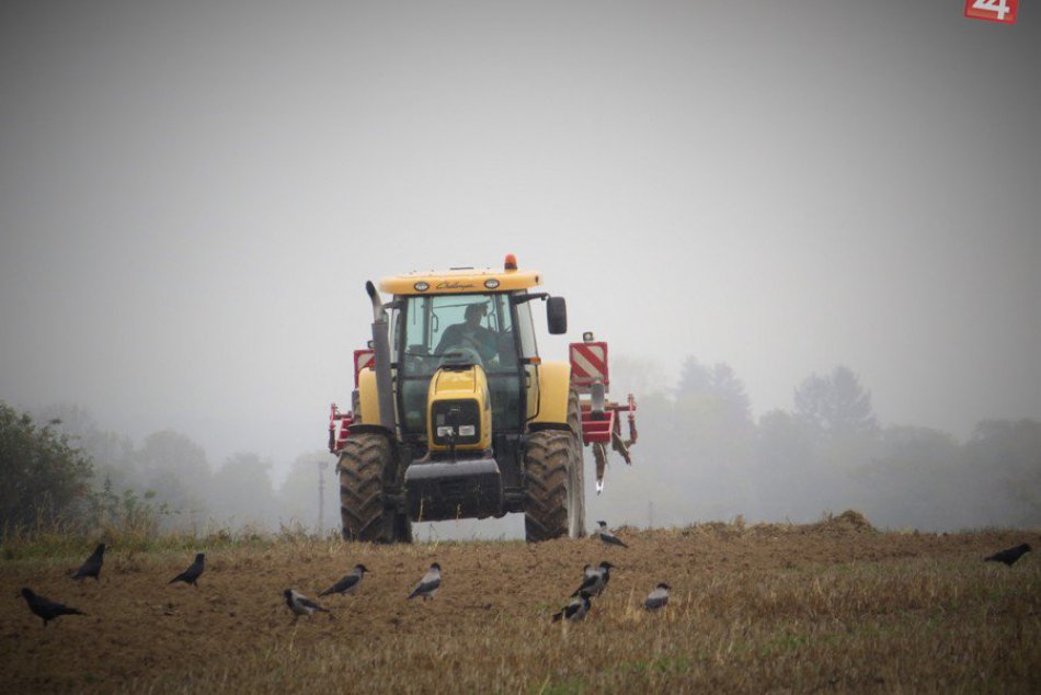 Ilustračný obrázok k článku Poľnohospodári v Košickom kraji: Výkyvy teplôt nateraz zvládajú
