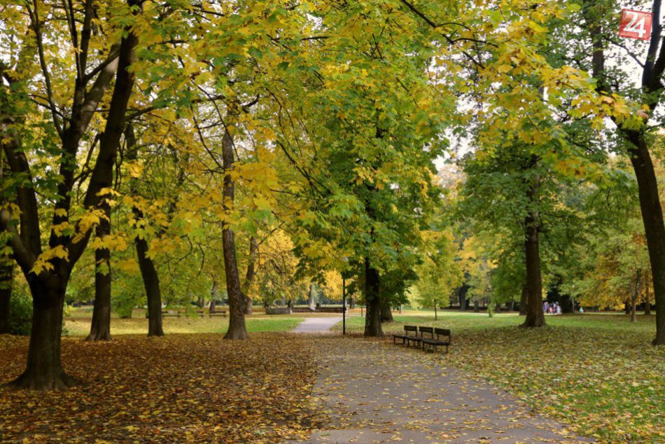 Ilustračný obrázok k článku Víkendové jesenné menu: Pozrite sa, čo všetko si pre vás Bratislava prichystala na najbližšie dni