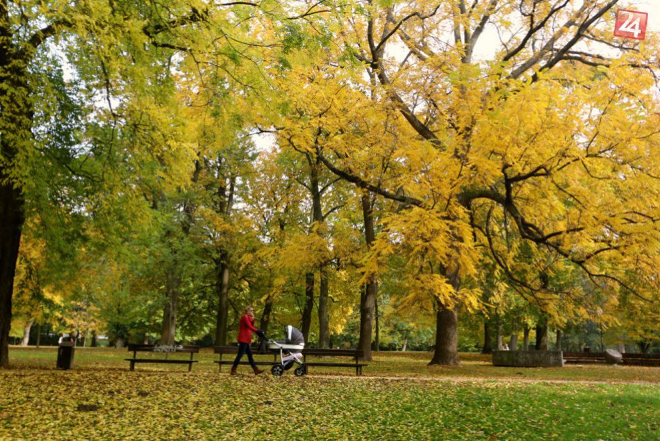 Ilustračný obrázok k článku OBRAZOM: Takto vyzerá jesenná prechádzka Sadom Janka Kráľa