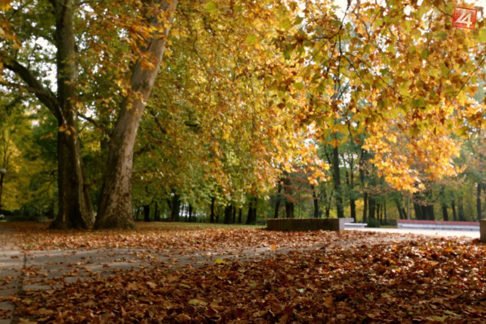 Ilustračný obrázok k článku Poprad už vyviezol vyše 40 ton lístia a toto ponúka bytovkám: Pomocná ruka, ktorú škoda nevyužiť!