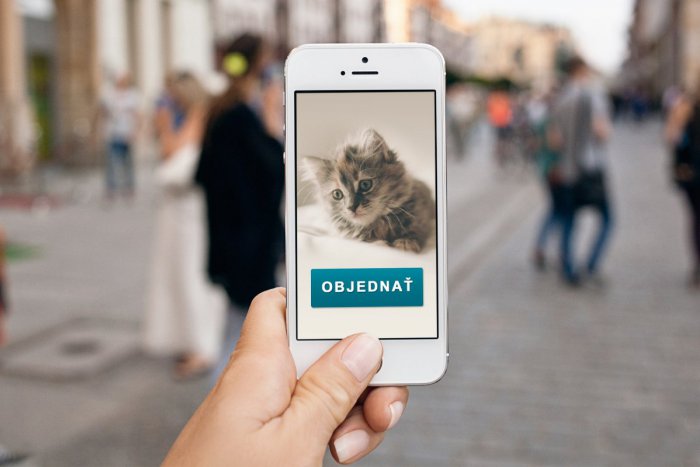 Ilustračný obrázok k článku Túlenie na zavolanie: Uber dnes vozí mačiatka - Priamo k vám