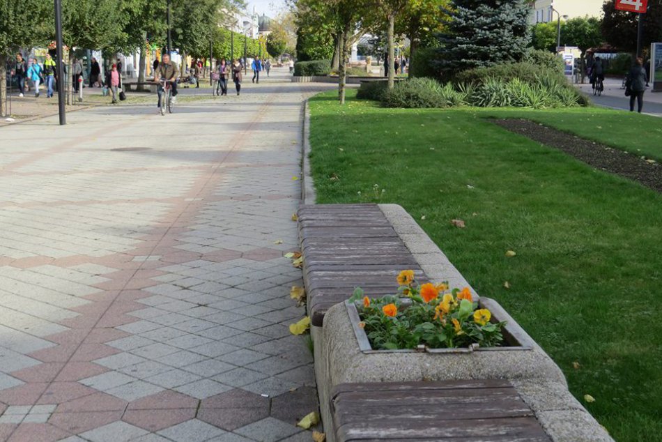 Ilustračný obrázok k článku Jar je aj čas výletov: Máte prehľad o lákavých atrakciách na skok od Michaloviec?