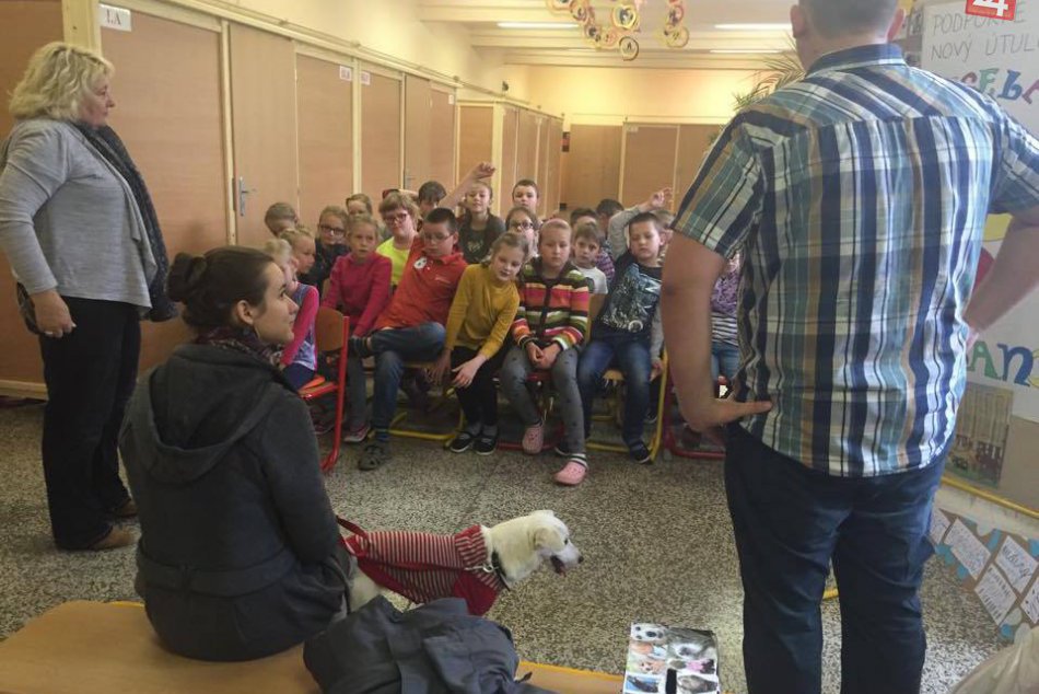Ilustračný obrázok k článku Veterinár ostal z reakcie detičiek paf: Ukázali veľké srdce, osud Belly hovorí za všetko! FOTO