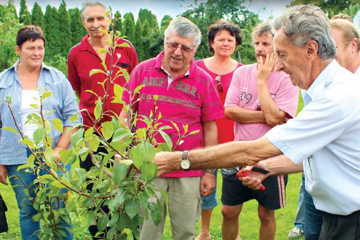 Ilustračný obrázok k článku Tip na knihu: 265 osvedčených rád a tipov do záhrady