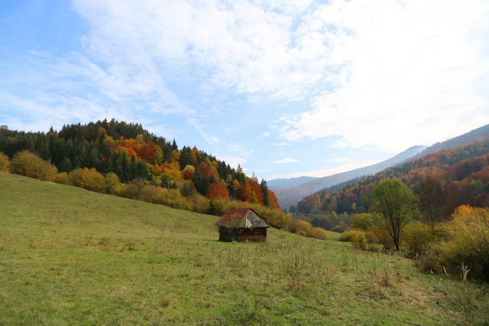 Ilustračný obrázok k článku Na Poľane chcú zrealizovať super nápad: Vyhliadková veža s inovatívnymi prvkami!