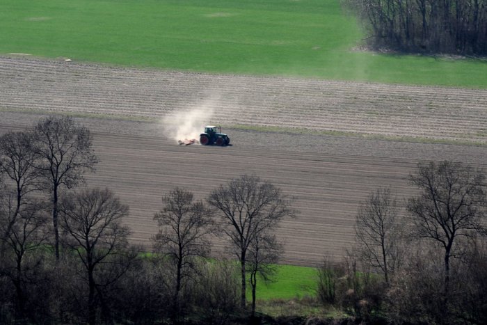 Ilustračný obrázok k článku Z lúk Devínskej Kobyly začnú onedlho odstraňovať náletové dreviny