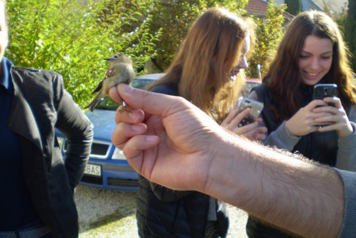 Ilustračný obrázok k článku Päťgramový operenec a množstvo zaujímavostí: Desiatky gymnazistov boli na DOD v národnom parku