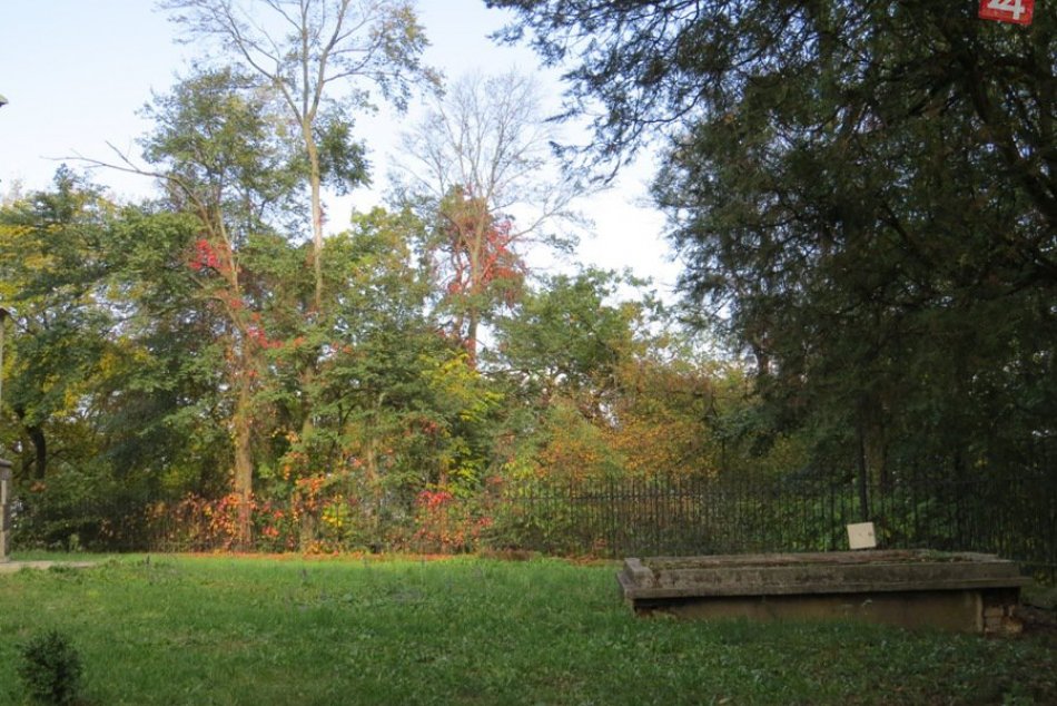 Ilustračný obrázok k článku S Hrádkom majú v Michalovciach veľké plány: Takto tam chcú prinavrátiť život