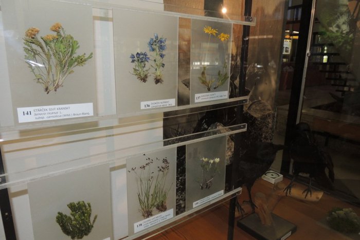 Ilustračný obrázok k článku Múzeum TANAPu opäť otvára svoje brány: Pripravených je hneď niekoľko noviniek