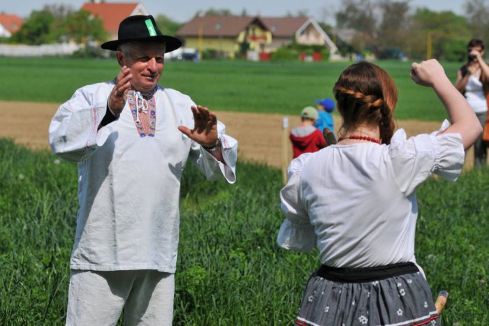 Ilustračný obrázok k článku Z času na čas ich používame a stoja za to: TOP 7 rýmovaných prísloví v zemplínčine