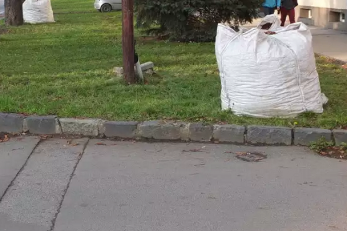 Ilustračný obrázok k článku Vedeli ste? Jesenný zber lístia má v Prešove novú podobu: Z verejných priestranstiev je odvážaný v bigbagoch