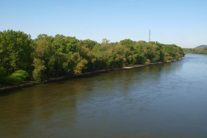 Ilustračný obrázok k článku Pečniansky les obeťou zločinu? Súd potvrdil prevod pozemkov pod lesom na občianske združenie