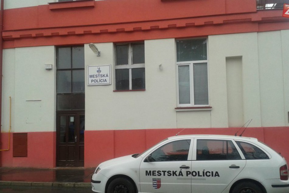 Ilustračný obrázok k článku Policajné papuče na autách v Brezne: Tieto čísla od mestských osvetľujú viac...